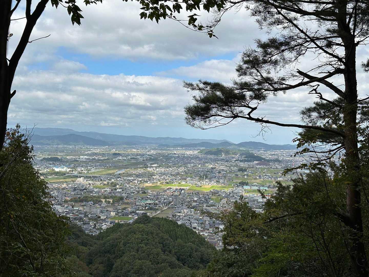 サンドームが見える