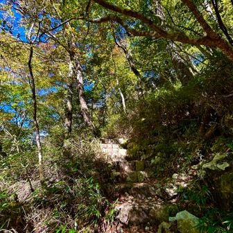 最後階段登ります