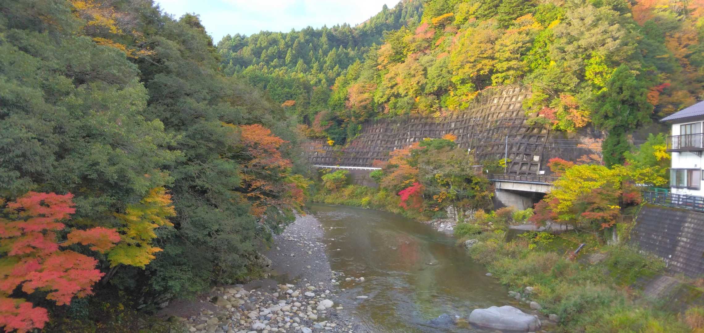 日本コバ-衣掛山 周回コースの写真