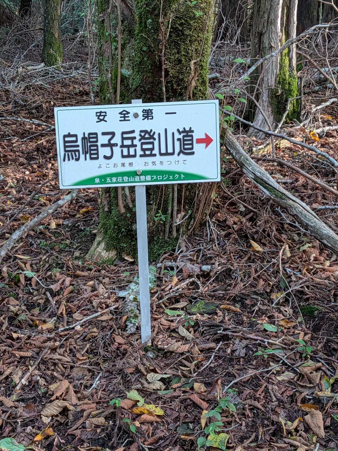 ありがとう🙏