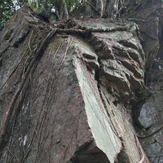 神社の巨岩作り模様。
お疲れ様でした。
今から解散場所の御手水バス停迄歩きます。
15時30分を目指して❗️