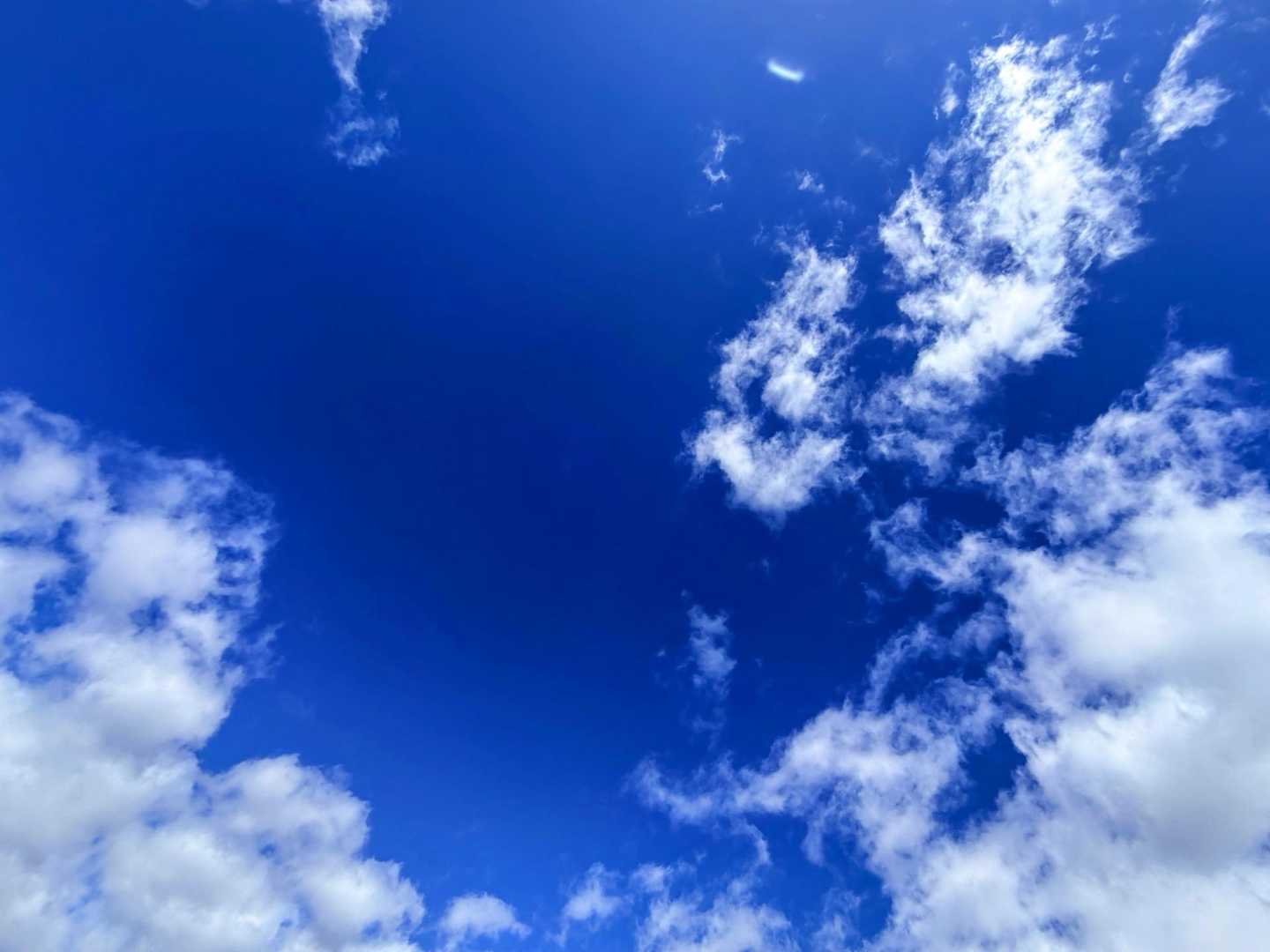 視界も背中も🈵