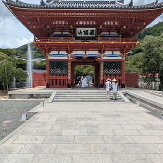 門の外は観光バスや駅から直行の路線バスが。