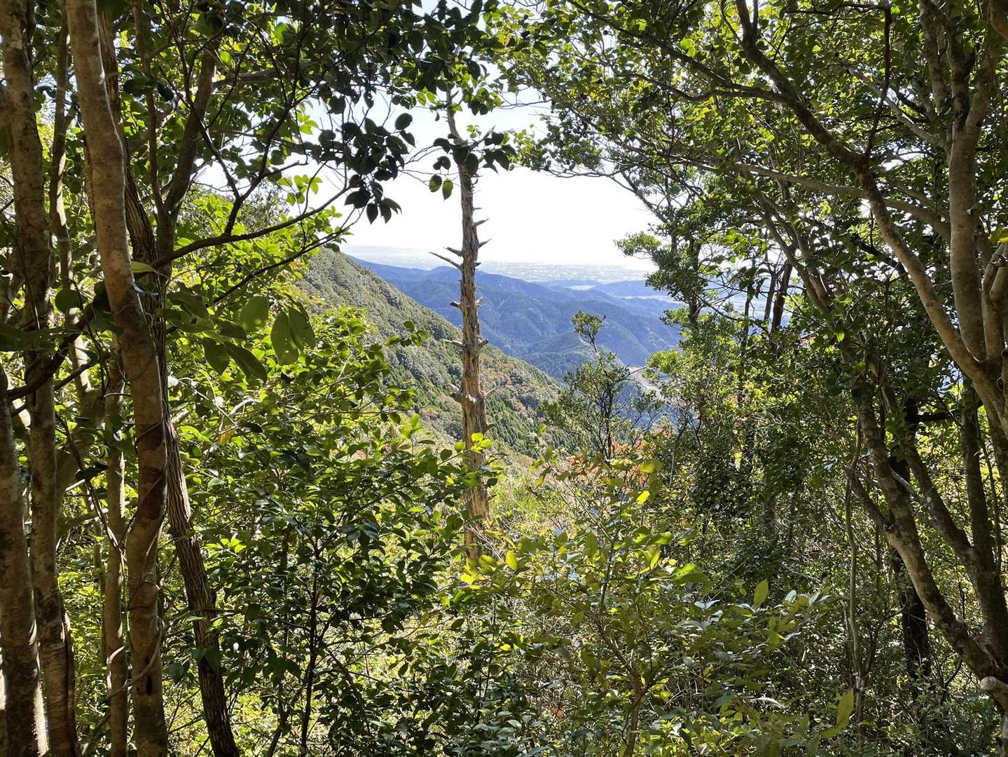 栗の木登山口-作礼山 往復コースの写真