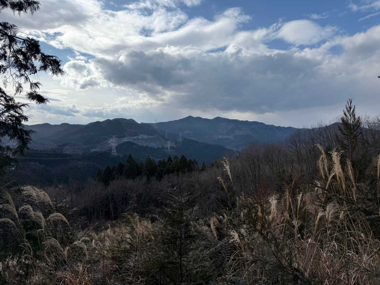 雲が太陽を隠してしまいました… ☁️

ススキ🌾の向こうには城峯山⛰️