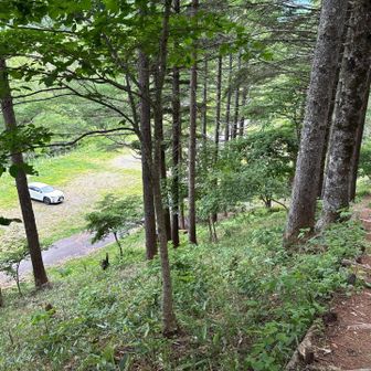 花活から無事下山　楽しかったねありがとう😊