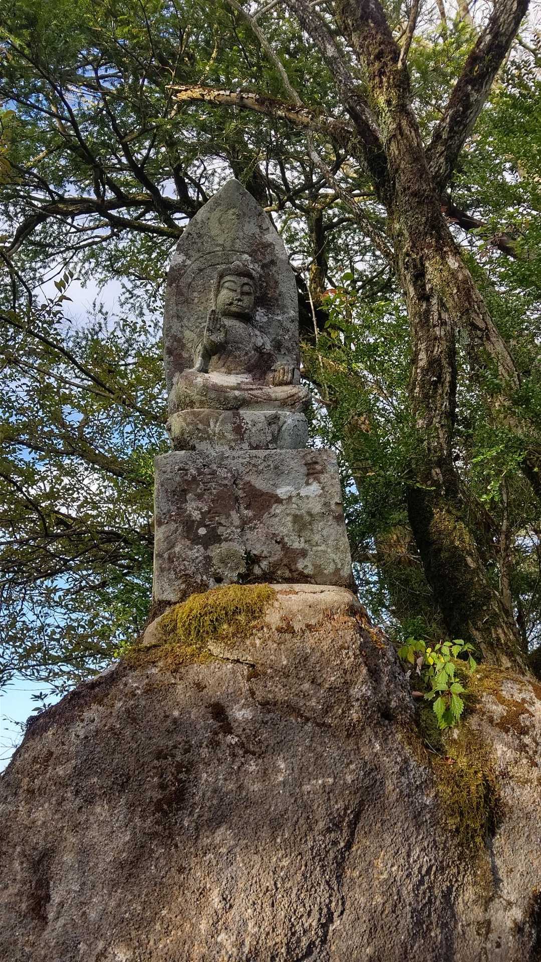 古処山登山口-古処山 往復コースの写真