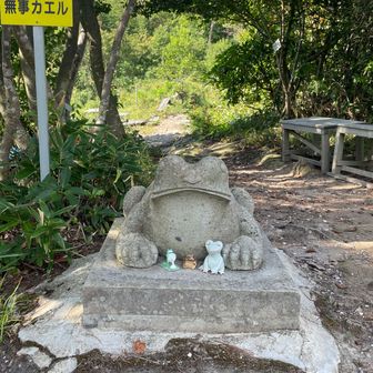 🐸おはよう！
