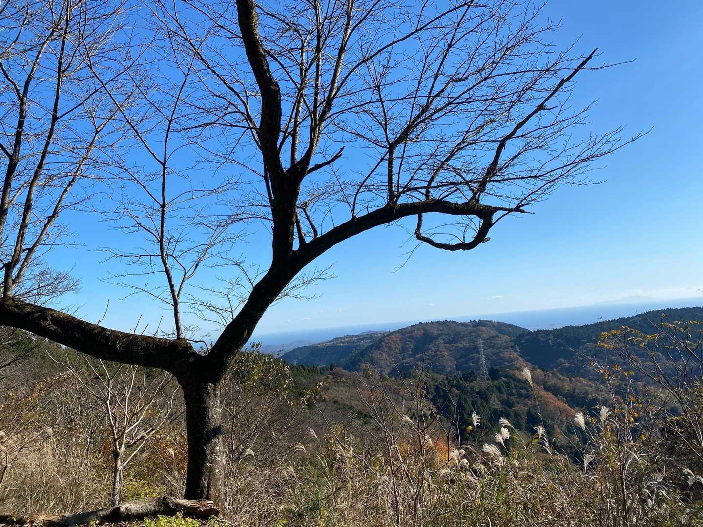 尺里峠-高松山 往復コースの写真