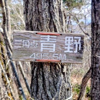 青野山（あおのやま）:495ｍ
このお山中々パンチがある👊
急登＆激下りのお山❗️