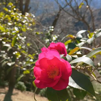 小ぶりで可愛い子❤