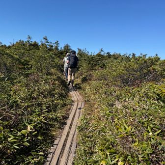 この木道いけば！
この辺りの木道は全く滑りません。