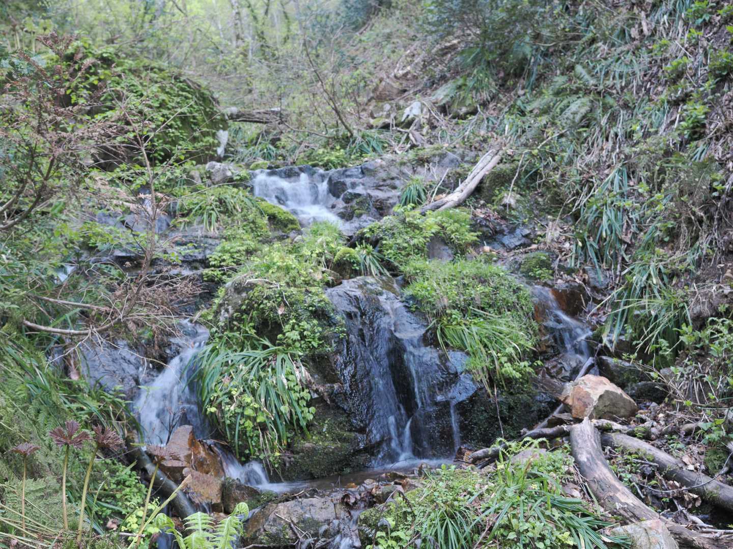 鳥上滝コース登山口-船通山-亀石コース登山口 周回コースの写真