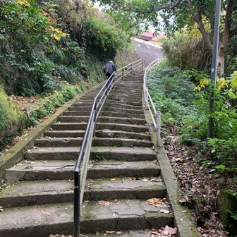 大した段数じゃありませんが、日頃運動してないとしんどいかも。
