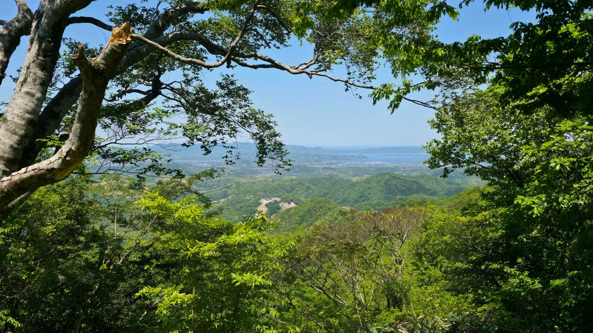 北側絶景
木立の合間から中海
・島根半島・松江市街が見渡せます🤗