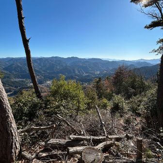山頂からの広角写真。
しっかりと絶景を見納めて、下山しました。
ほんま、暖かくて最高でした☀️