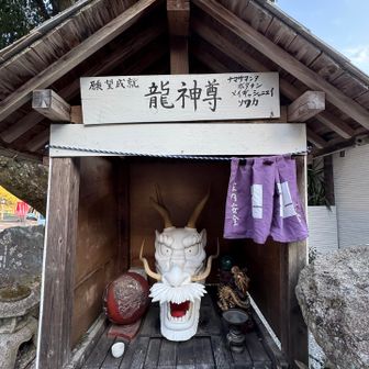龍神尊🐲何だか怪しい😅