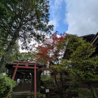 足長鳥居さん