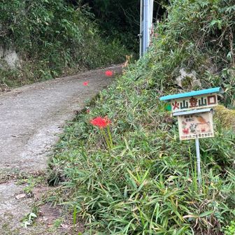 いつもの登山口💪
