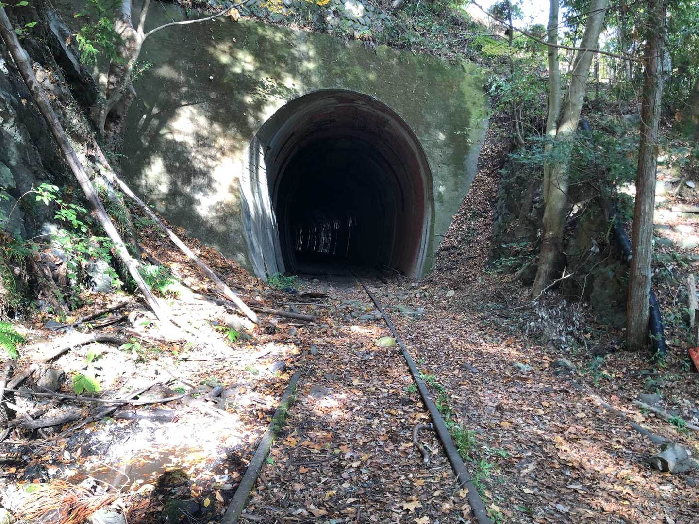 鴨沢バス停-小袖登山口-堂所-七ツ石山-千本ツツジ-高丸山 縦走コースの写真