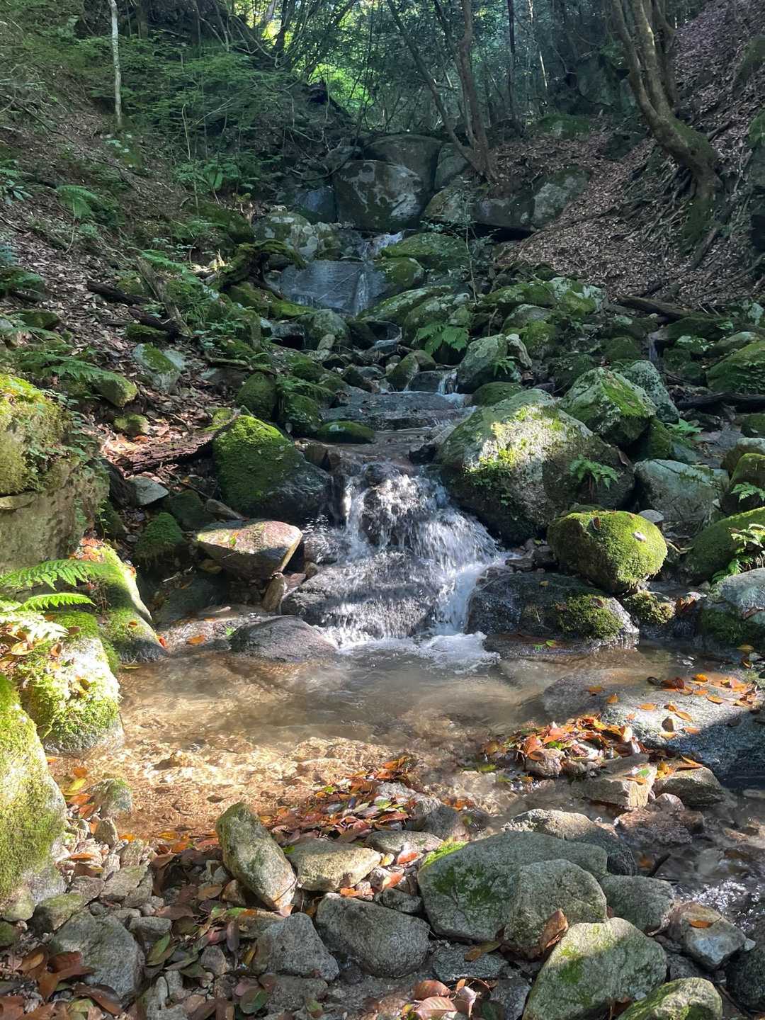脊振山往復 | 川の流れる音が耳に心地よい、整備された登山コースの写真