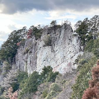 ドン❗️とアップにしてみた