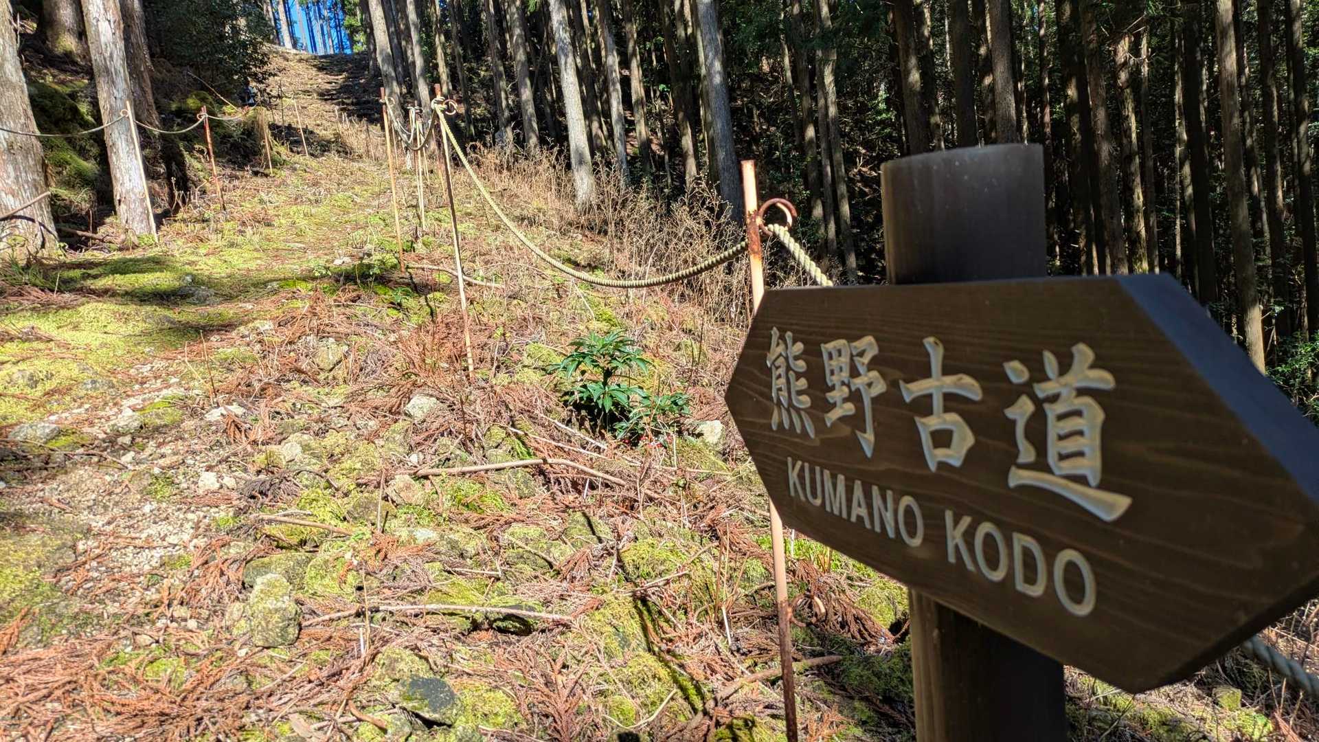 多富気王子-熊野那智大社-青岸渡寺-妙法山阿弥陀寺-妙法山 周回コースの写真