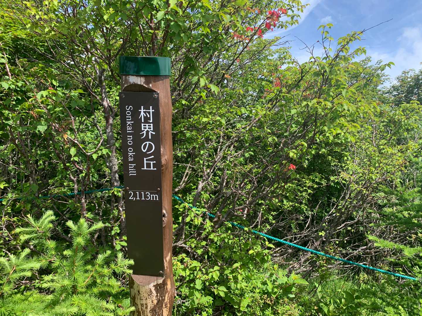 脇道が有ったから入ったら山頂標