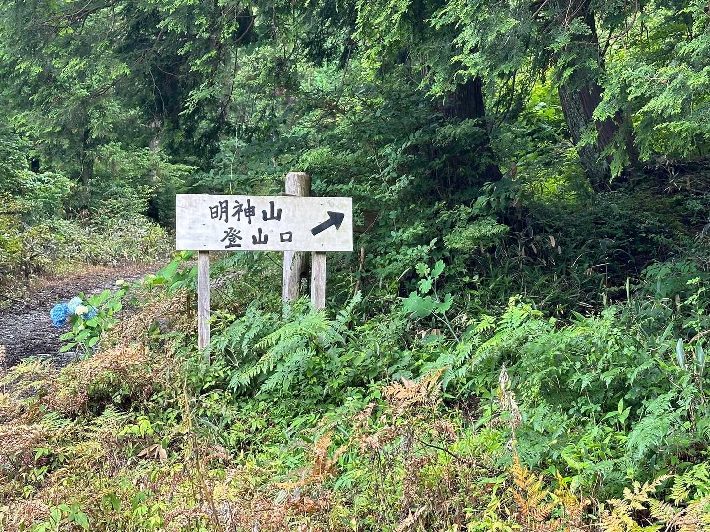 ここまで、林道を約2キロ歩きました。
やっと、登山口です。