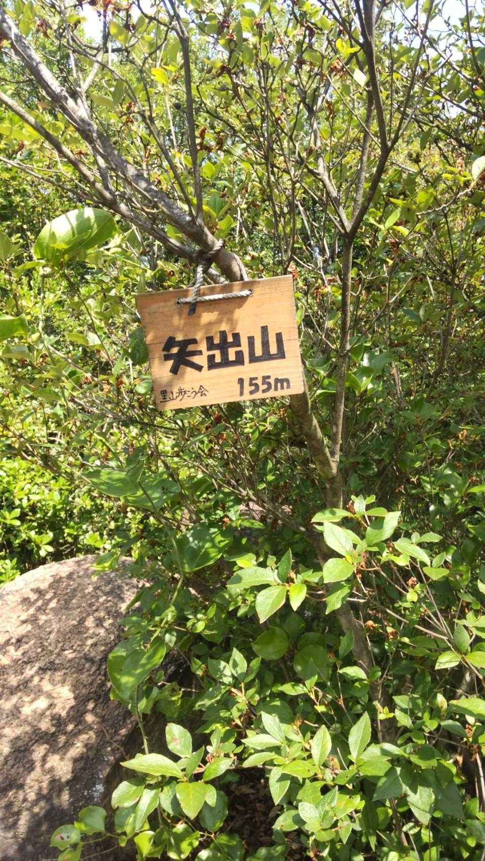 ん？山頂？
YAMAPでは違うんだけど🤔笑