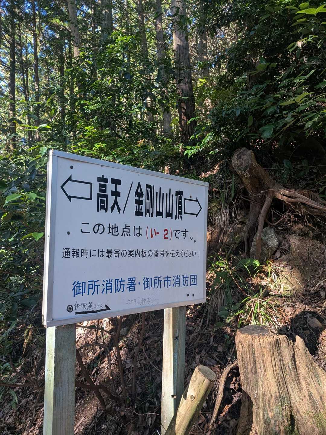 高天彦神社-府民の森 ちはや園地 往復コースの写真
