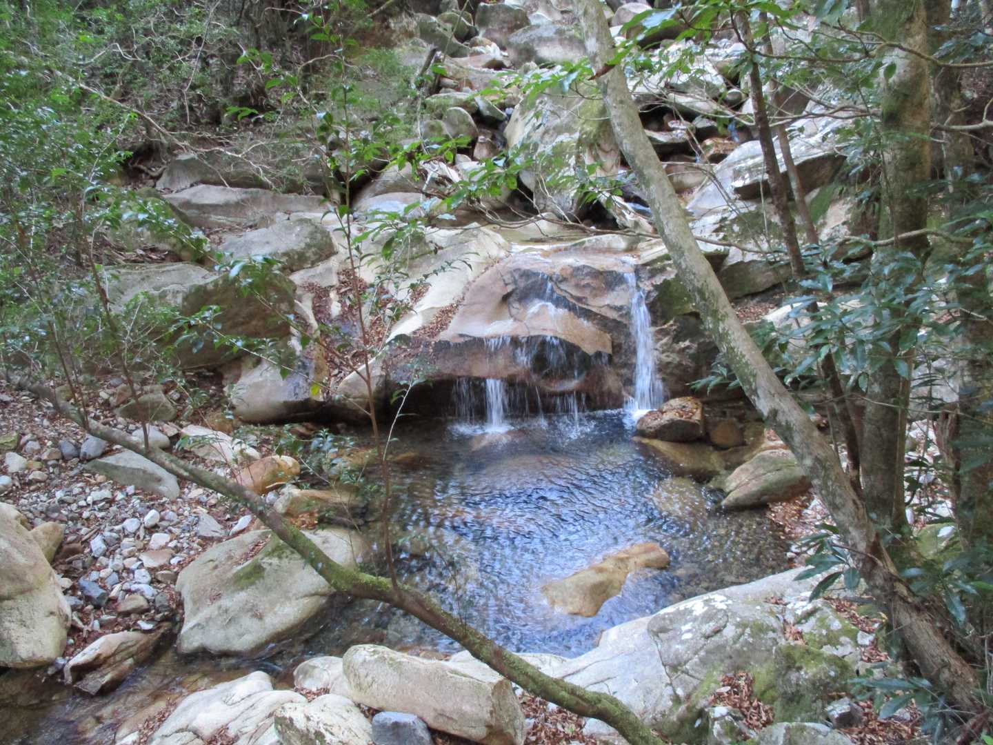 木山内岳 往復コースの写真
