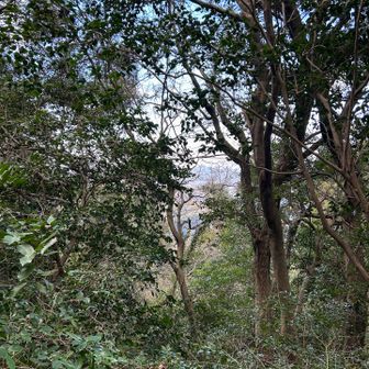 チラっと👀楽しみ〜〜