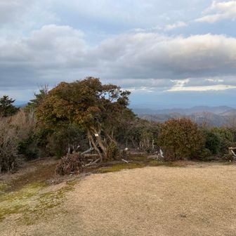 北側は庭園みたいになっています　どこから出てきたのかよく分からなくなりました(左です)
