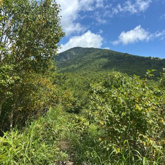 四阿山側が見えてきた