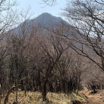 ここから頂上まで1時間かからないのに、この見上げ方、嫌な予感