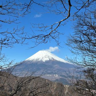 位牌岳山頂(1457m)からの富士山🗻強風🌬️で雪煙を上げてます。