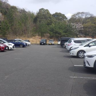 大高緑地 第7駐車場🅿️