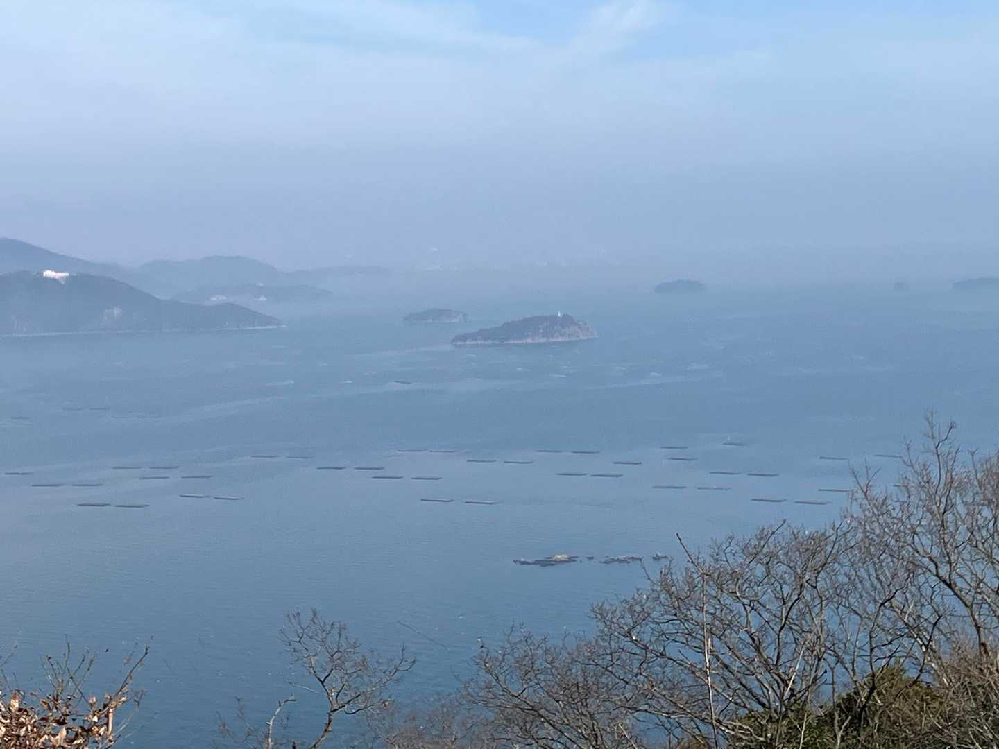 牡蠣筏が見えます🦪