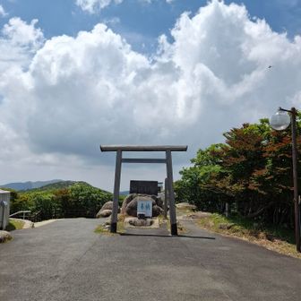 鳥居、右上にヘリのようなトンボが見切れてる、笑
