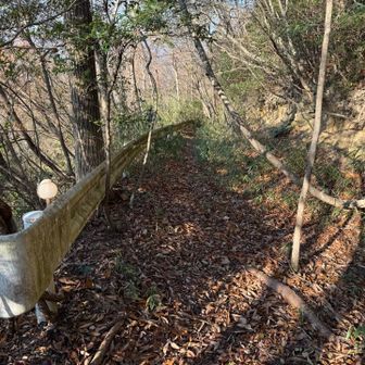 引き返す。
車は通れない狭い道なのにガードレール？