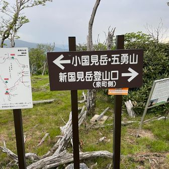 こういう看板がなぜ設置されないのか？