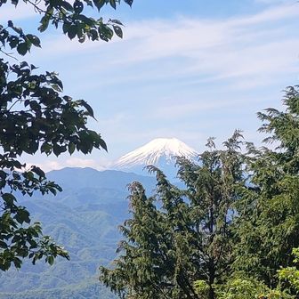 ちょっと登ればもう富士山
