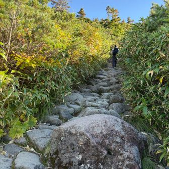 嘘です。急な登りです