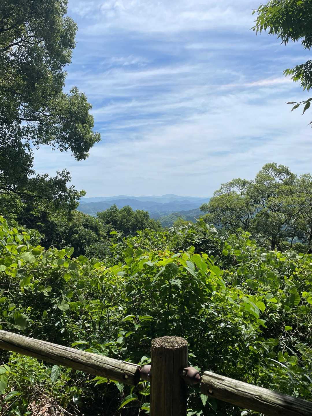 大津山 周回コースの写真