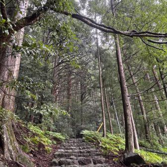 またいつか…

熊野古道、ちゃんと歩きたひ。


泣く泣く引き返す。
