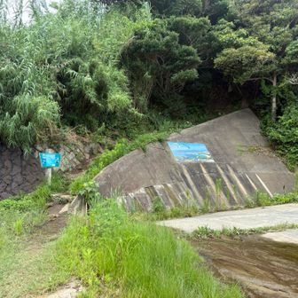 登山口に到着✨やっとトレイル‼︎登ります‼︎