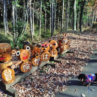 この時は本当に冒険が始まるとは思いませんでした