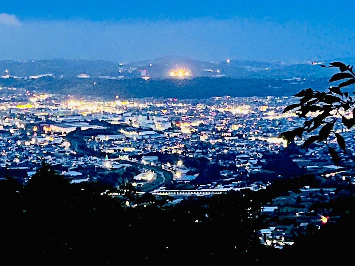 ブナ（山取)　特別価格　　撮影日2023,10,26日 堀山・花立ノ頭・塔ノ岳 / ayakaの登山データ | YAMAP / ヤマップ