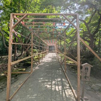 結びの音くぐり